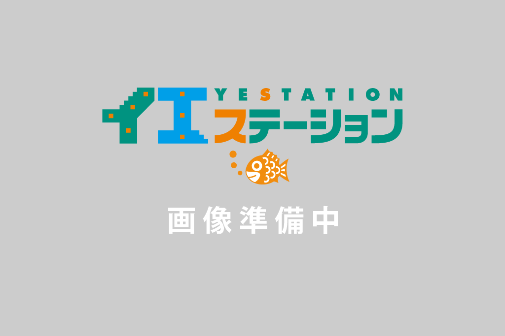 土地 佐倉市井野386-11 京成本線志津駅 3万円